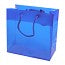 Sac pour cadeaux 16x 7,6 x16 cm. (10 Pièces) [G66BL1]