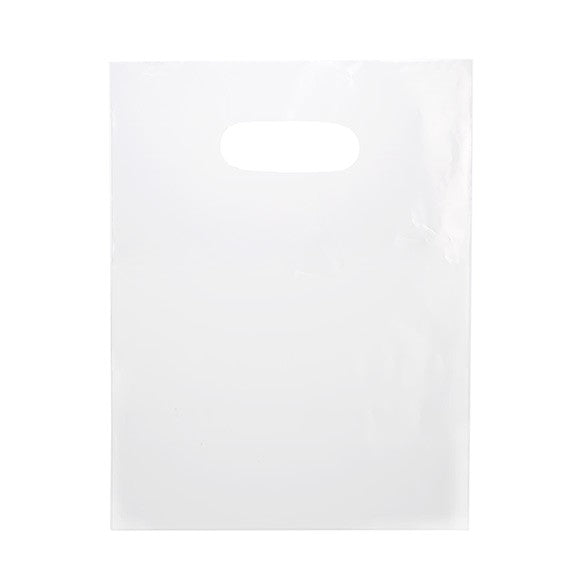 Sachet givrés de transport 60 Microns 22.9x30.5 cm PE-BD (100 Pièces) [H912FT1]