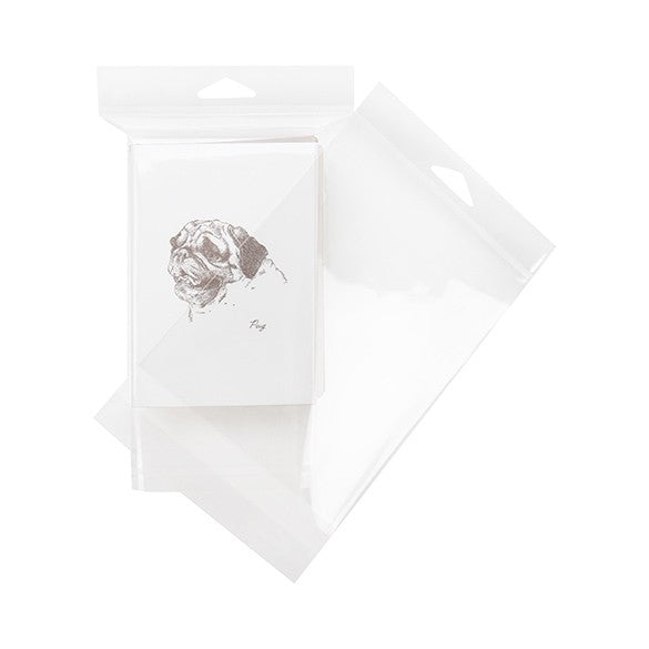 Sachet à trou de suspension refermable à transparence cristalline 13x15.9cm (100 pièces) [HB5B3]