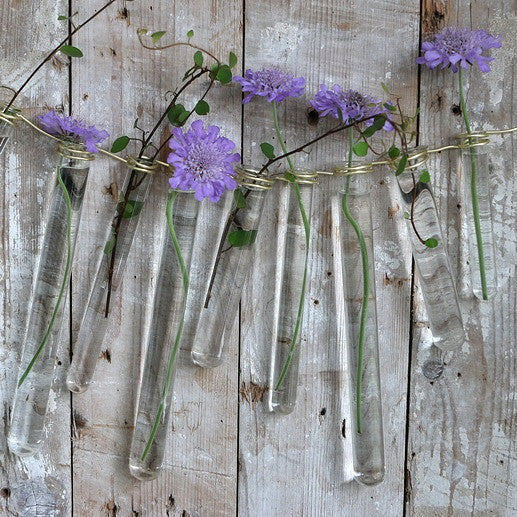 Glazen reageerbuis 2cm diameter 20cm hoog, met ring (set van 12 stuks) [IFS-29203]