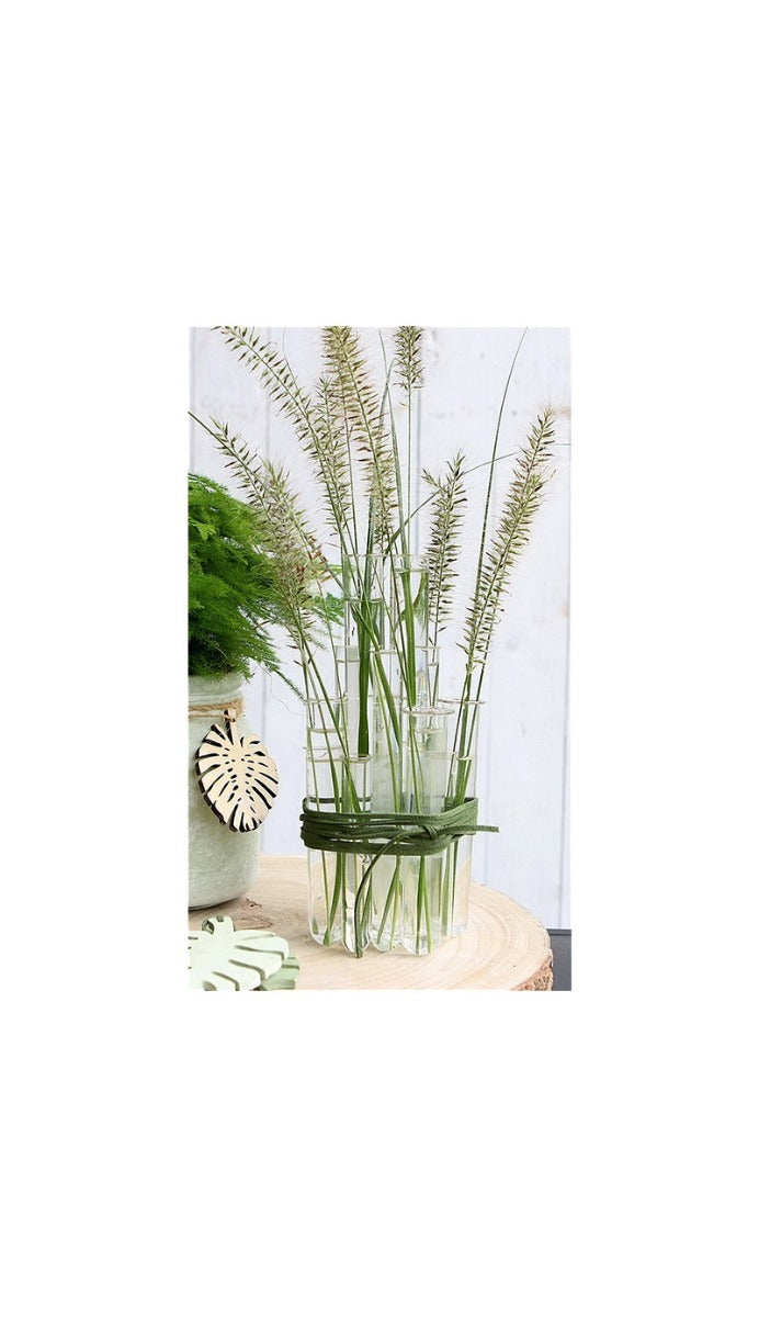 Tube à essai en verre de 2 cm de diamètre et de 20 cm de hauteur, avec rebord (lot de 12 pièces) [IFS-29203]