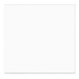 Plastiek Zakken 13,2x12,9cm Transparant (100 stuks) [B5X5SNF]