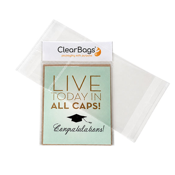 Sachet à trou de suspension euro avec compartiment pour cavalier 11.7x14.6cm (100 pièces) [IHB4X5]