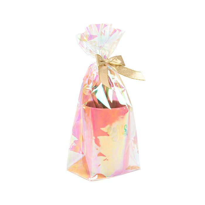 Blokbodemzakken met papieren kaart Iridescent, 55 micron 12,7x7,6x30,5cm (50 Stuks) [HFGPB1]