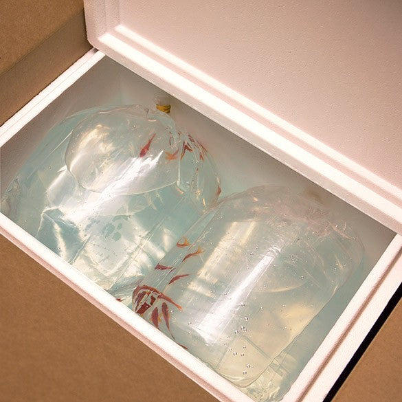 Blokbodemzakken Zware Kwaliteit 40,6x20,3x55,9cm (100 stuks) [3GSBW6]