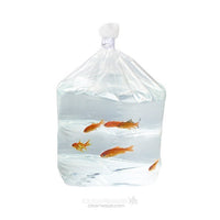 Block Bottom Bags Heavy Duty 16.1x16.5x57.2cm