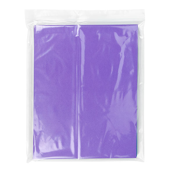 Sachet zip transparent en PE-BD 25,4x30,5cm (100 pièces) [2PE1012]