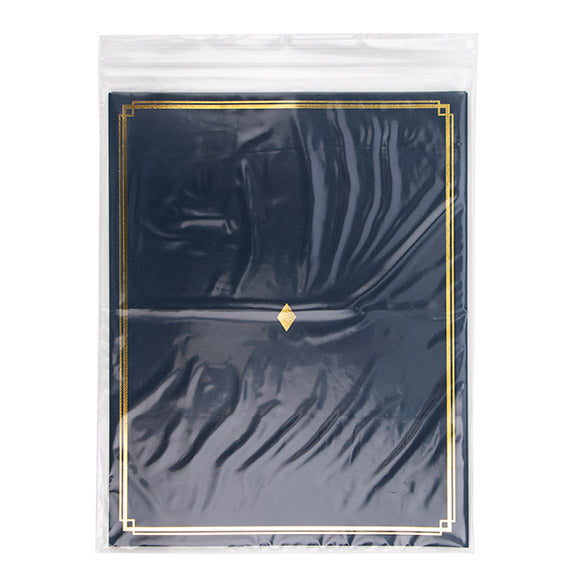 Sachet zip transparent en PE-BD 25,4x33cm (100 pièces) [2PE1013]