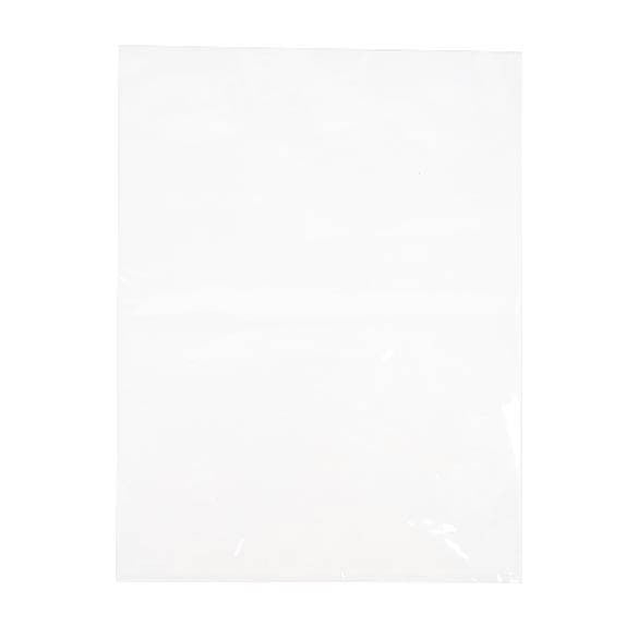 Plastiek Zakken 22,9x30,5cm Helder Polypropyleen (100 stuks) [FP1H912]