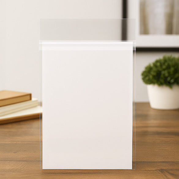 Sachet plastique OPP transparence cristalline avec rabat sécurisé 24.1x31.8cm (100 pièces) [PR9H12H]