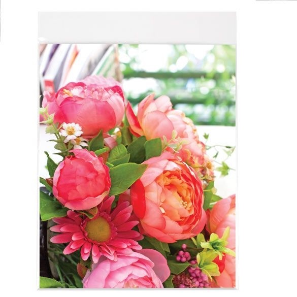 Sachet plastique plat grand format 21,4x22,7cm Refermable à Fermeture “Sécurisée” (100 pièces) [B108SPC]