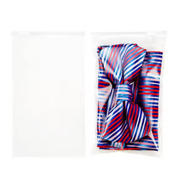 Sac zip avec curseur 10x15cm (100 pièces) [3SZ46]