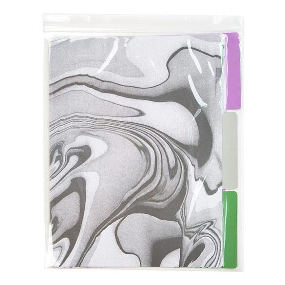 Sachet zip à transparence cristalline 100 microns 25,4x30,5cm (100 pièces) [Z4C1012]
