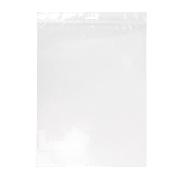 Sachet zip à transparence cristalline avec trou de suspension européen + trou d'aération 22,9x30,5cm (100 pièces) [ZE912V]