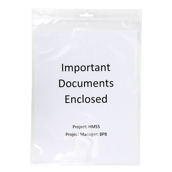 Sachet zip à transparence cristalline avec trou de suspension européen + trou d'aération 22,9x30,5cm (100 pièces) [ZE912V]