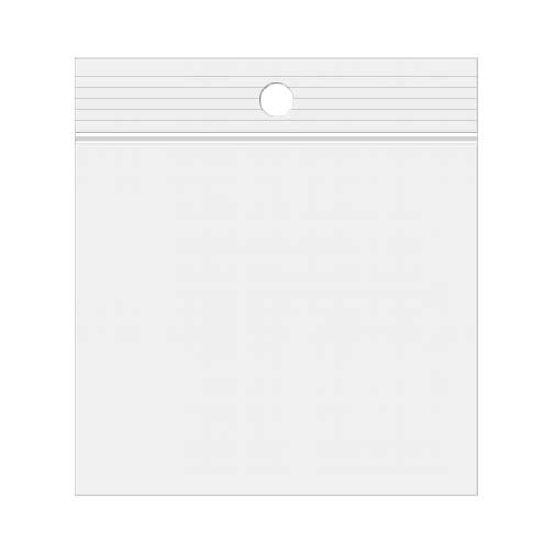 Crystal Clear Zip Bag