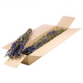 Gedroogde Bloemen Natuurlijk Blauw Delphinium (1 bundel) [RU-00102.000.9]