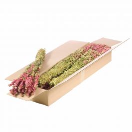 Gedroogde Bloemen Natuurlijk Roze Delphinium (1 bundel) [RU-00104.000.9]