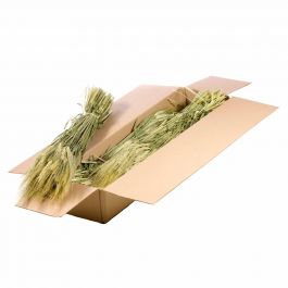 Gedroogde Bloemen Natuurlijk Groen Gerst (Hordeum) (1 bundel) [RU-00190.000.9]