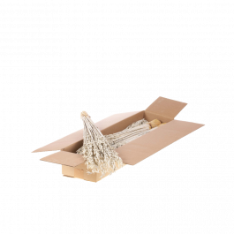 Gedroogde Bloemen Wit Mistig Haver (Avena) (1 bundel) [RU-00210.101.9]