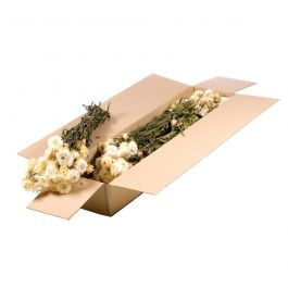 Gedroogde Bloemen Natuurlijk Wit Helichrysum (1 bundel) [RU-00228.000.9]