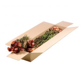 Gedroogde Bloemen Natuurlijk Zalm Helichrysum (1 bundel) [RU-00230.000.9]