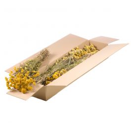Gedroogde Bloemen Natuurlijk Geel Lona (1 bundel) [RU-00340.000.9]