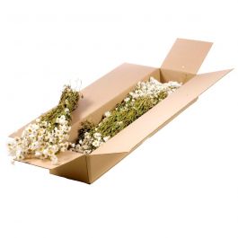 Gedroogde Bloemen Natuurlijk Wit Rodanthe (1 bundel) [RU-00514.000.9]