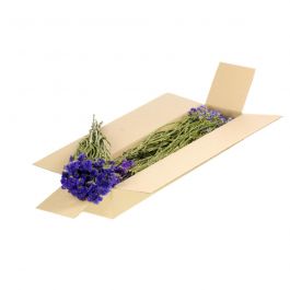 Fleurs Naturelles Séchées Bleues Limonium sinuatum (1 Paquet) [RU-00562.000.9]