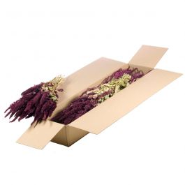 Gedroogde Bloemen Natuurlijk Rood Amaranthus (1 bundel) [RU-01600.000.9]
