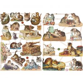 Vintage plaatjes, katten, vel 16,5x23,5 cm, 2 vel/ 1 doos [HOB-19357]