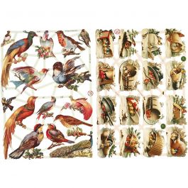 Vintage plaatjes, vogels, vel 16,5x23,5 cm, 2 vel/ 1 doos [HOB-19361]