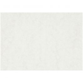 Papier aquarelle, A5, feuille 148x210 mm, 300 gr, blanc, 100 flles/ 1 Pq. [HOB-22411]