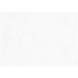 Papier aquarelle, A2, 420x594 mm, 300 gr, blanc, 100flles/ 1 Pq. [HOB-22414]