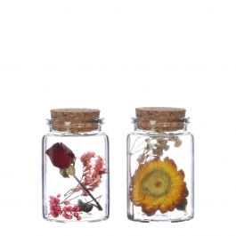 Tube en verre avec 2 fleurs séchées différentes Ø4.5cm - 7,5 cm haut (12 pièces.) [IFS-29345]