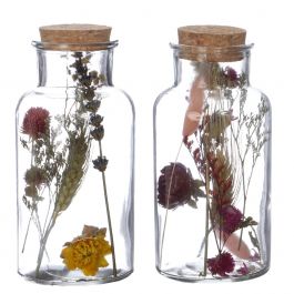 Glazen medicijnfles met 2 diverse droogbloemen Ø8cm (12 st.) [IFS-29395]