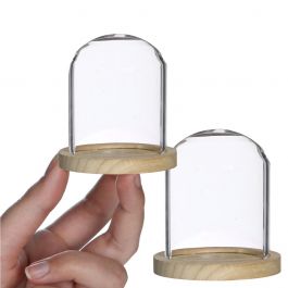 Glazen stolp Ø8cm en 8cm hoog met hout (6 st.) [IFS-29419]