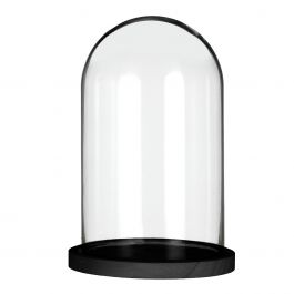 Glazen stolp met zwart houten basis Ø17cm (1 st.) [IFS-29825]