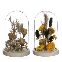 Cloche en verre avec fleurs séchées naturelles Ø12cm (1 pièce.) [IFS-29834]