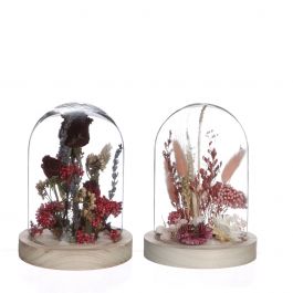 Glazen stolp met droogbloemen roze Ø8cm (1 st.) [IFS-29848]