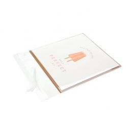 Plastiek zakken 12x12 cm Transparant en Hersluitbaar (100 stuks) [KO-301212]