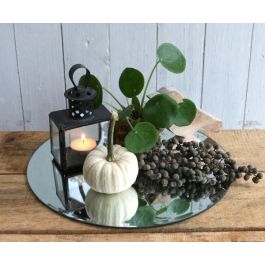 Spiegelplaat rond Ø 50cm afgeschuinde rand (1 pc) [IFS-30203]