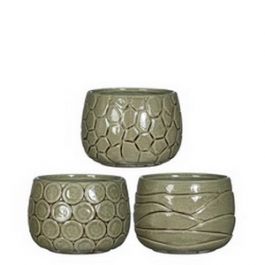 Pot à plantes Mila glacé avec motifs incrustés Vert 9cm de haut (6 pièces.) [IFS-33515]