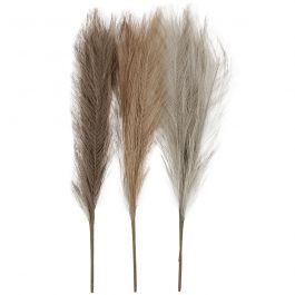 Pampasgras, L: 50 cm, licht beige, lichtbruin, lichtgrijs, 3 stuk/ 1 bol [HOB-50205]