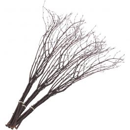 Berkentakken, L: 50-60 cm, 20 stuk/ 1 doos [HOB-50240]