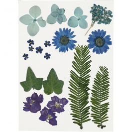 Fleurs et feuilles pressées, bleu, 1 Pq. [HOB-504472]