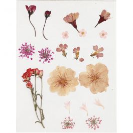 Fleurs et feuilles pressées, rose clair, 1 Pq. [HOB-504474]