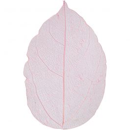 Squelettes de feuilles, L: 6-8cm, rose clair, 20 pièces/ 1 Pq. [HOB-504496]