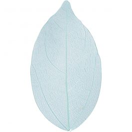 Squelettes de feuilles, L: 6-8cm, bleu clair, 20 pièces/ 1 Pq. [HOB-504498]