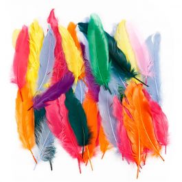 Veren, L: 12-15 cm, diverse kleuren, 350 stuk/ 1 doos [HOB-51673]